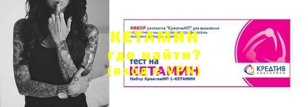 стафф Алексин