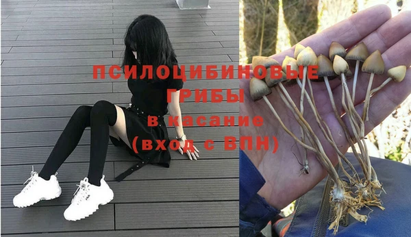 стафф Алексин