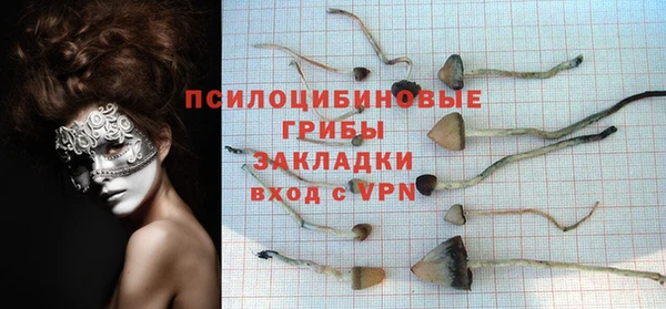 круглые Алексеевка
