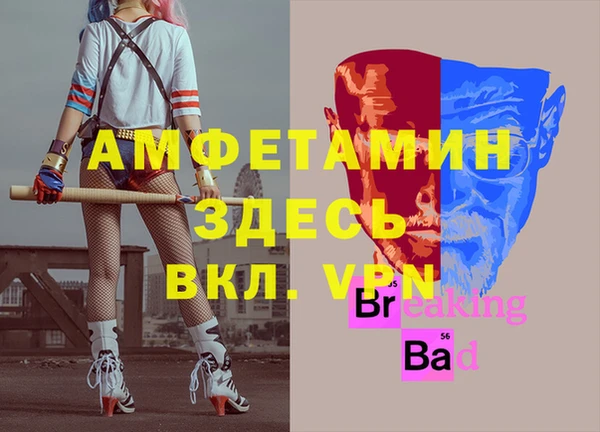 стафф Алексин