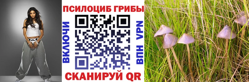 Галлюциногенные грибы ЛСД  Чадан 